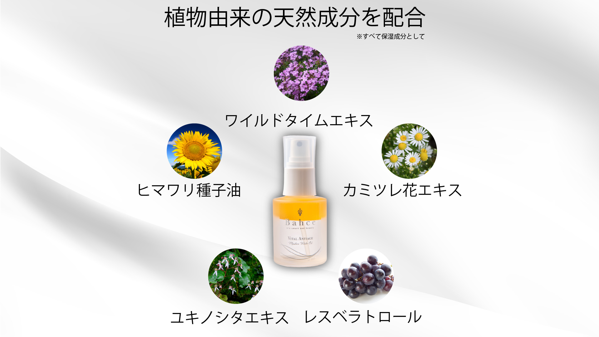 バイタルアンテージ 2層オイル | フィオラボ