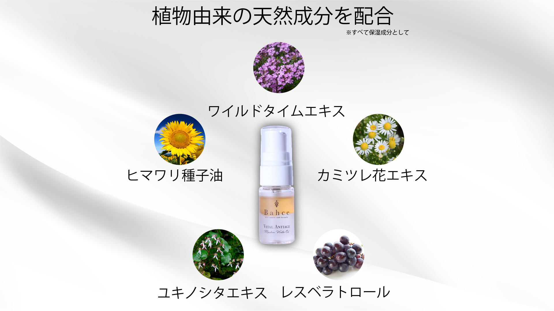 バイタルアンテージ スターターセット | フィオラボ