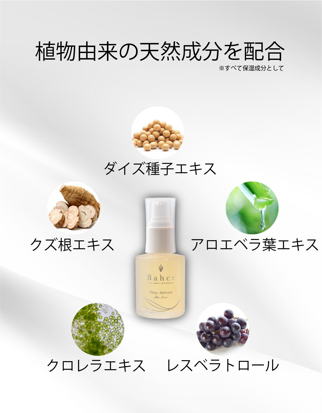 バイタルアンテージ スキンセラム | フィオラボ